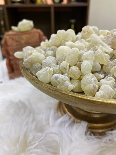 لبان عماني حوجري ذكر