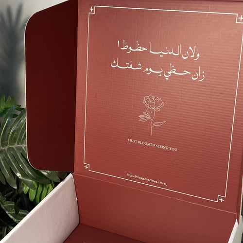 بوكس لاينز ( فارغ )