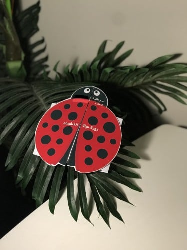 مطوية دورة حياة الخنفساء