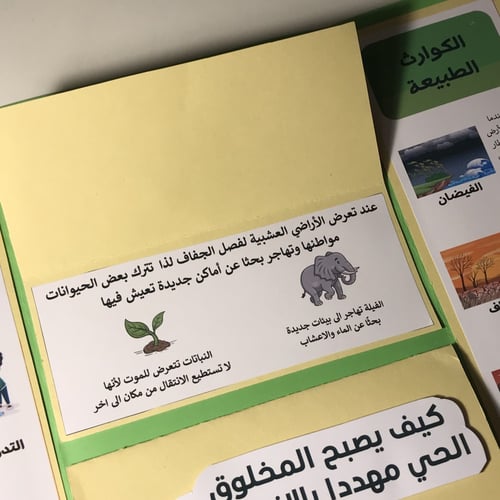 مطوية العلوم