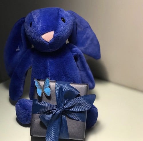 سلسلة فراشة ودب