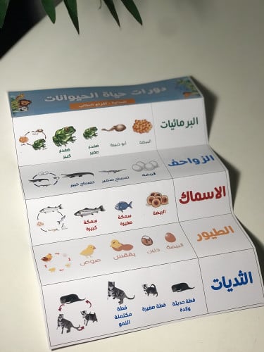 مطوية العلوم (دورات حياة الحيوانات ) مع اضافه اسم