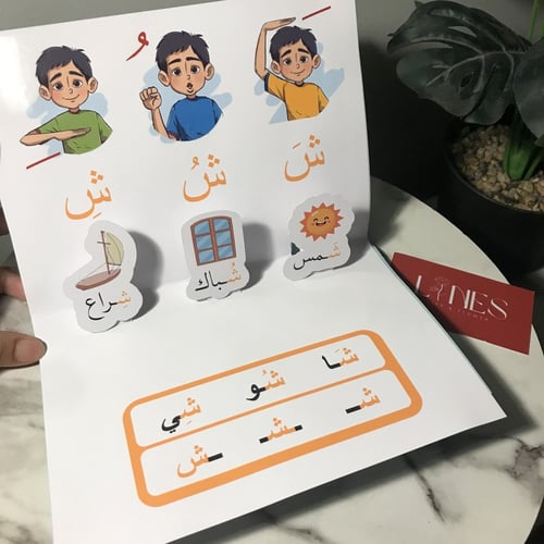 مطوية وحدة مديتني