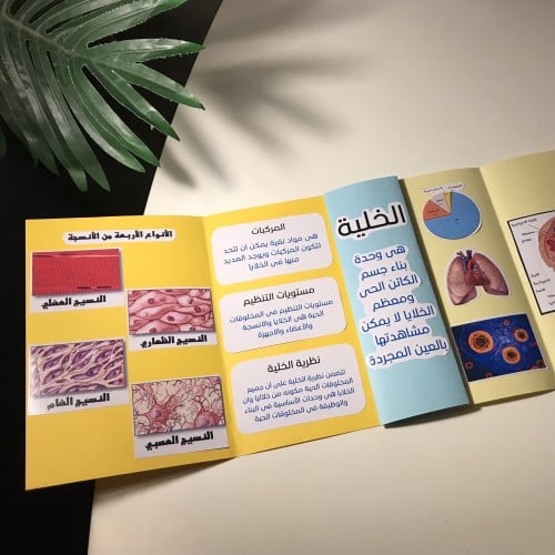 مطوية نظرية الخلية