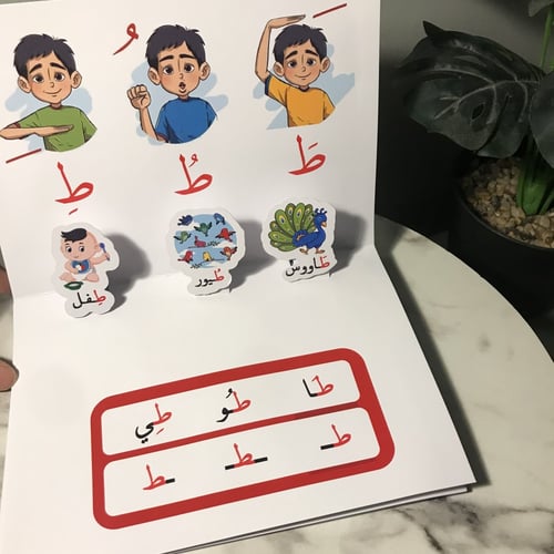 مطوية وحدة مديتني