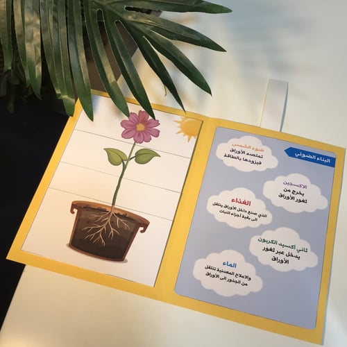 مطوية العلوم ( اجزاء النبات )