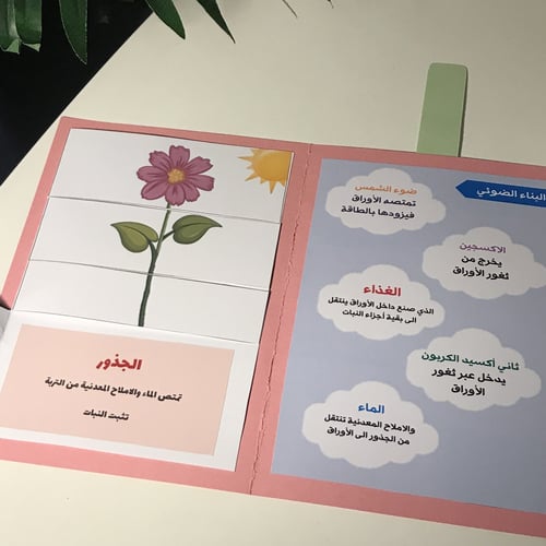 مطوية العلوم ( اجزاء النبات )