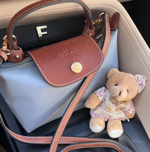 شنطة لونق شامب - Mini Longchamp Bag