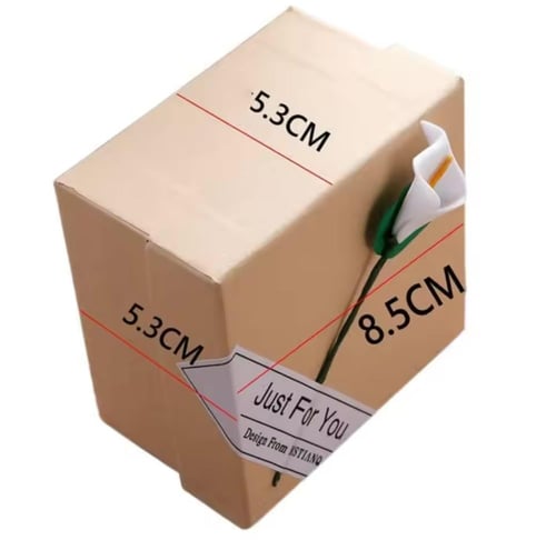 علبة انيقة لحفظ حلقانك - Box