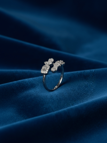 خاتم البريق