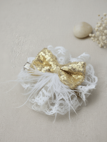 مشبك فرنسي فيونكة لامعة