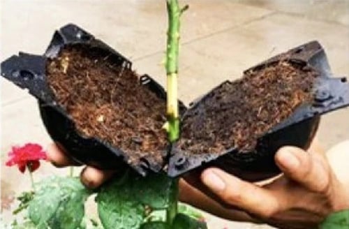 صندوق التعقيل الهوائي 12,8,5 Cm