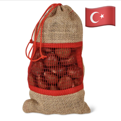 كستناء أبو فروة تركي 1 كيلو