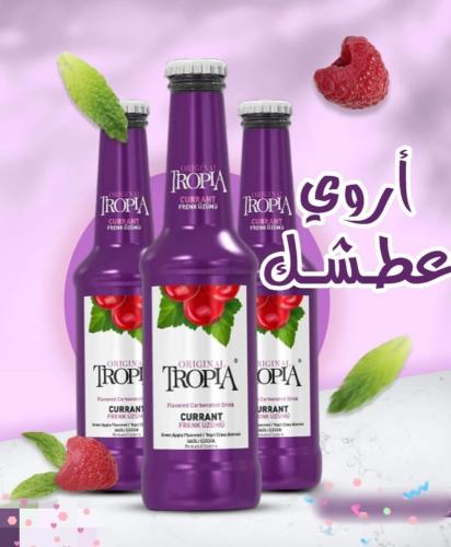 مياه غازية تروبيا اورجينال كشمش أحمر - تركي مستورد...