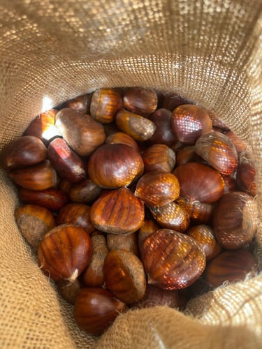 كستناء أبو فروة تركية 2 كيلو.