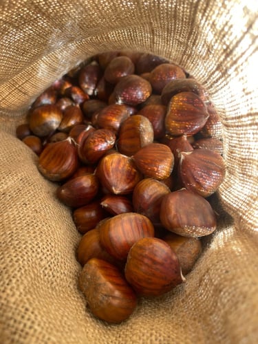 كستناء أبو فروة تركية 2 كيلو.