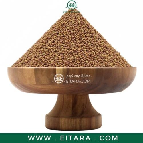 بذور البرسيم