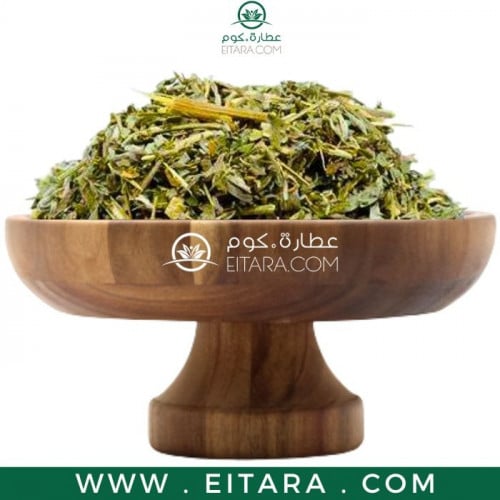 عشبة شيح مصري