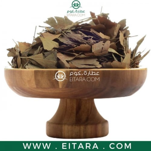 عشبة الجنكا بيلوبا