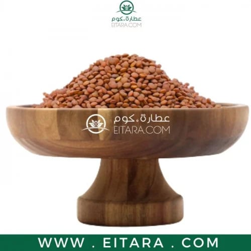 عدس بني