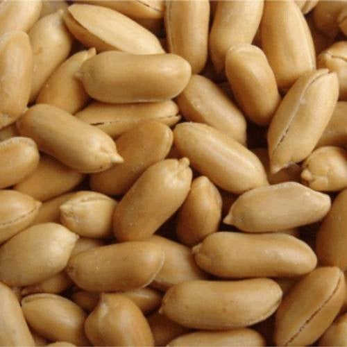فول سوداني