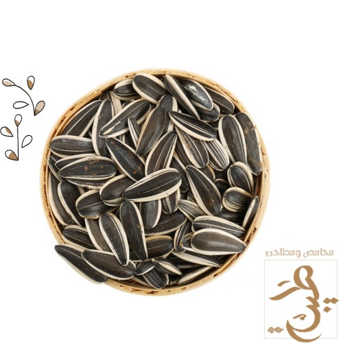 حب شمسي