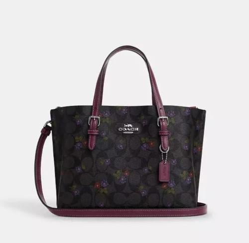 Empty berry coach