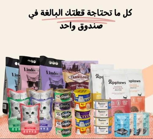 بكج القطط البالغة