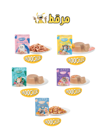 بكج اظرف موتشي 24ظرف
