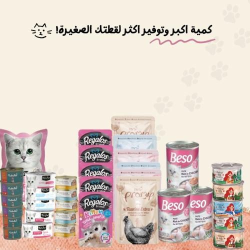 بكج القطط الصغيرة