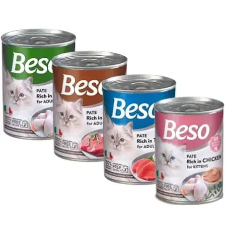 معلبات بيسو 400g