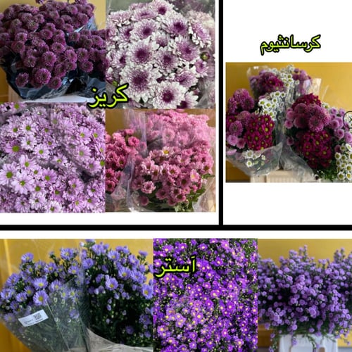 بكج الاهداء الموف