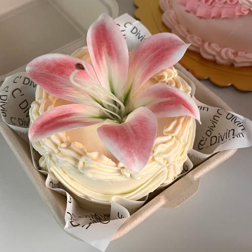 كيكة ليليوم