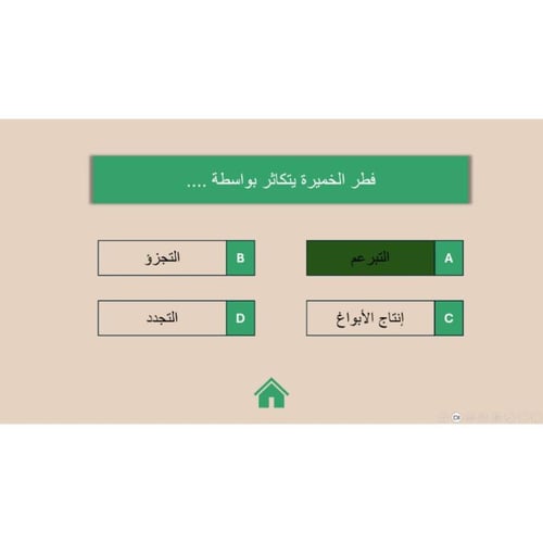 اسئلة تحصيلي (مراجعة)