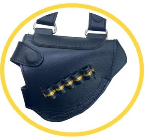 بيت مسدس سيفين ونخلة