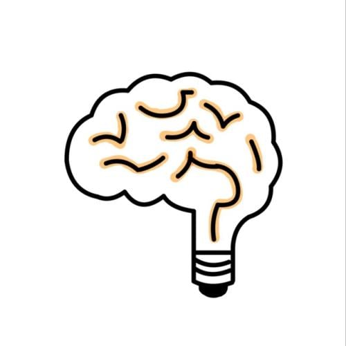 بكج شرح اي اربعه مواد (مع امكانيه تكون على ترمين)