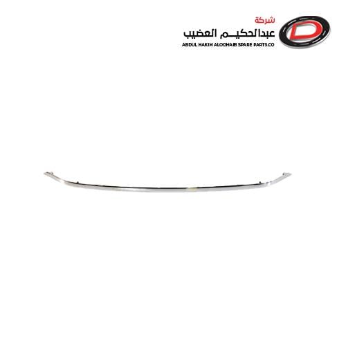 نيكل شبك فوق ES300 2019