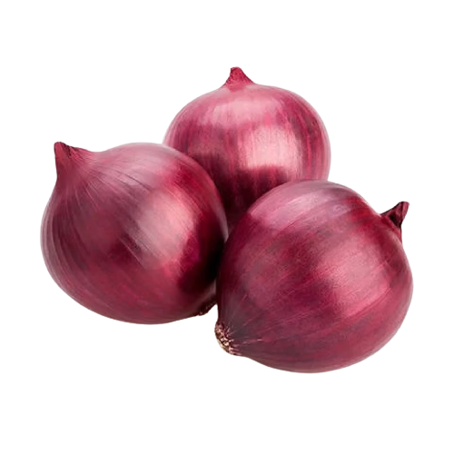 بصل وزن