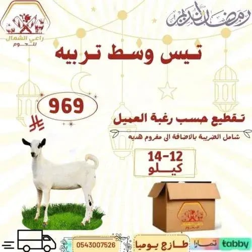 تـيس وسط تربية