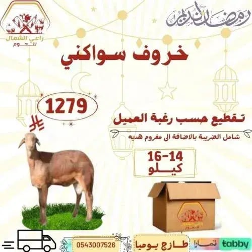 خروف سواكني لباني