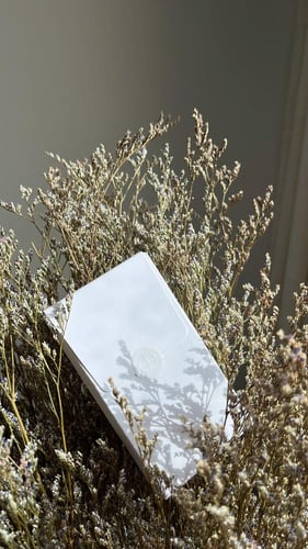 ميدالية ديور مع البوكس