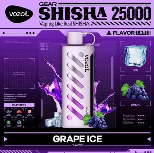فوزول جير شيشة 25000 موشة VOZOL Gear Shisha 25000...