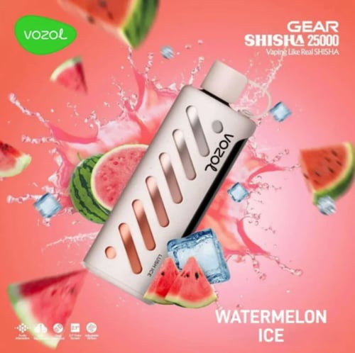 فوزول جير شيشة 25000 موشة VOZOL Gear Shisha 25000...