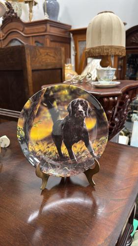 صحون فنية أوروبية إنجليزية من منتصف القرن الماضي