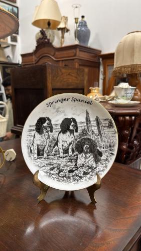 صحون فنية أوروبية إنجليزية من منتصف القرن الماضي