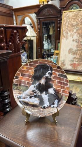 صحون فنية أوروبية إنجليزية من منتصف القرن الماضي