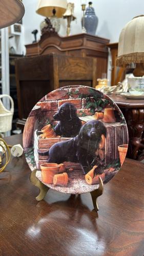 صحون فنية أوروبية إنجليزية من منتصف القرن الماضي