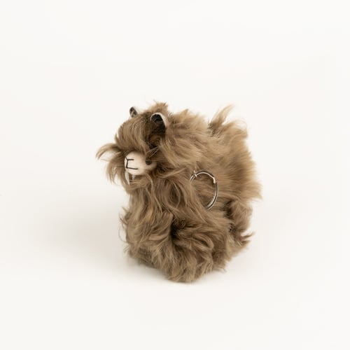 Gray Brown, Suri Baby Albaca