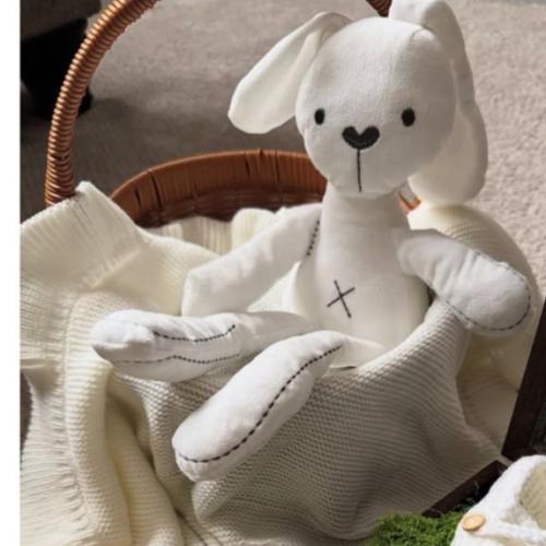 Doll teddy bear rabbit