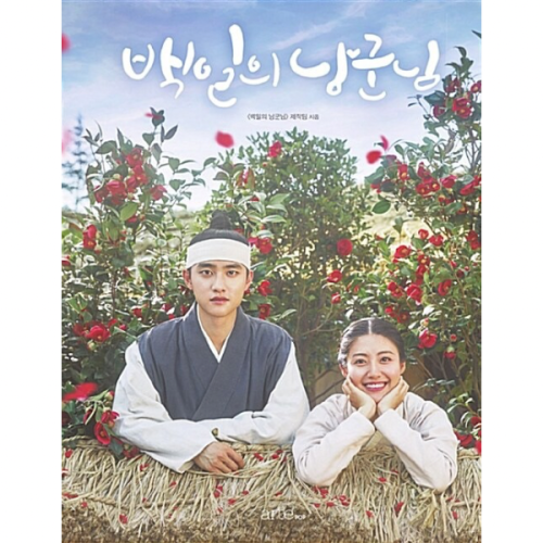 Drama 100 Days My Prince Photobook